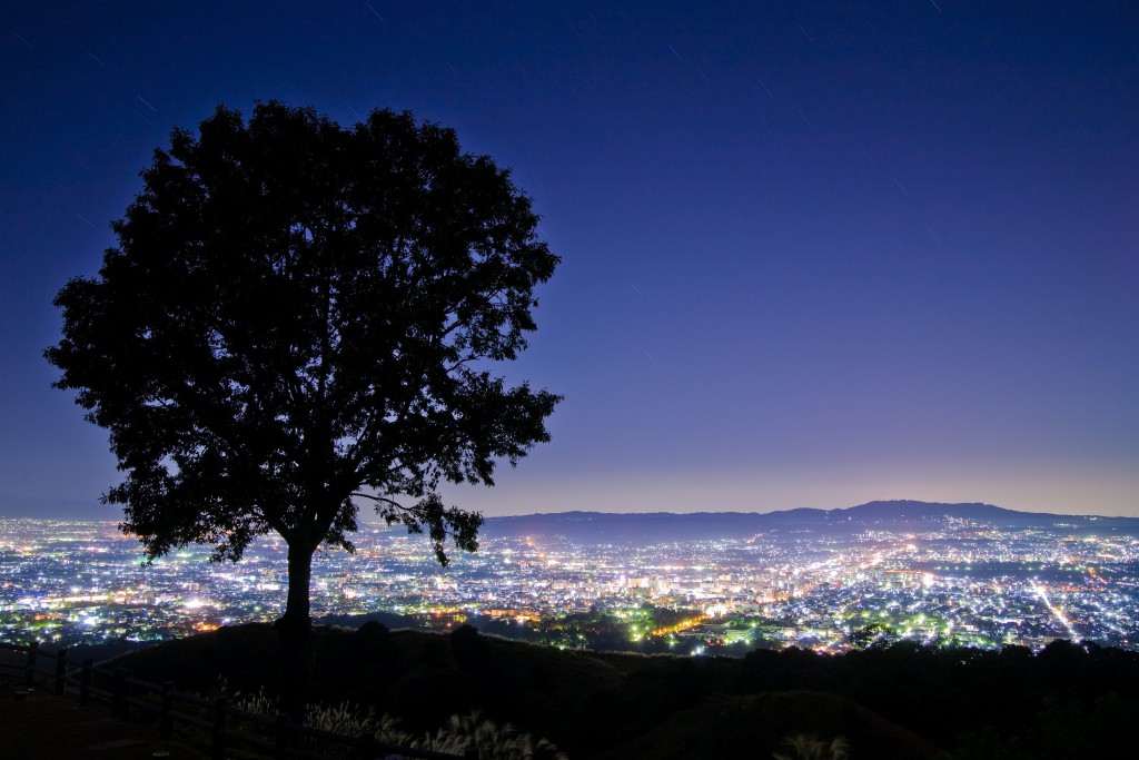 resize1390