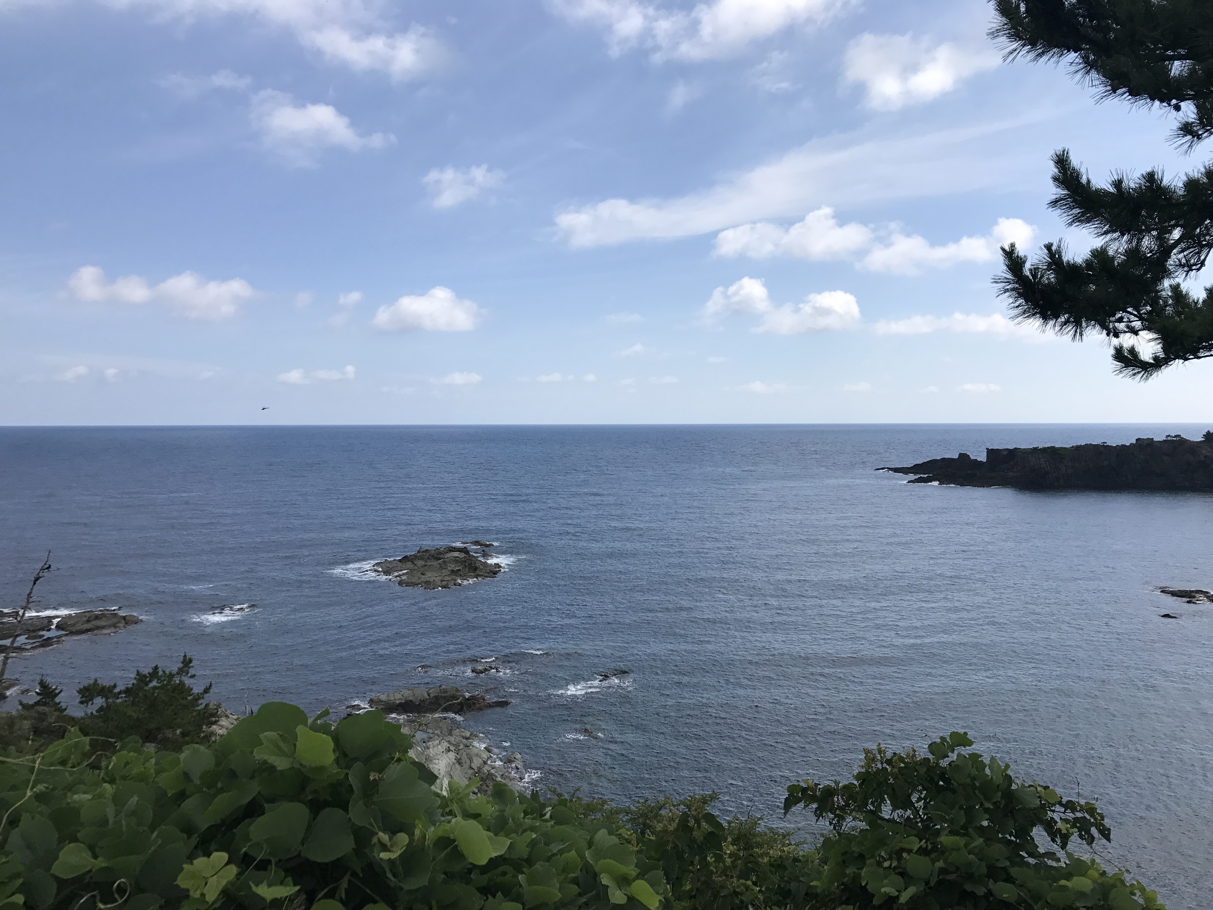 隠岐の島で気付いたこと・学んだ地域活性化のヒント