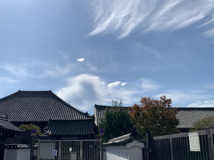 奈良市長選挙総括・仲川市長の独裁の裏側にある地域性